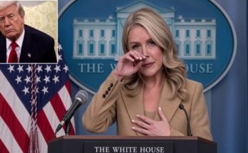 President Trump emergency declaration